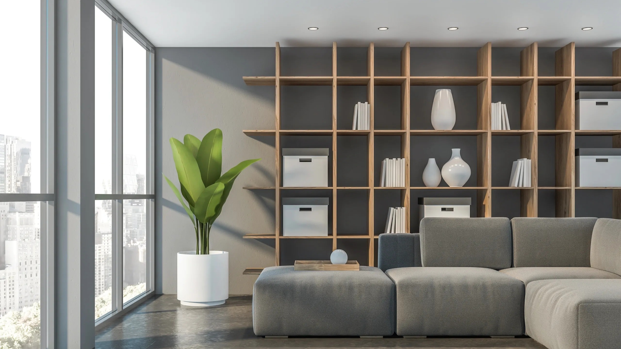 Home Decluttering & Organization